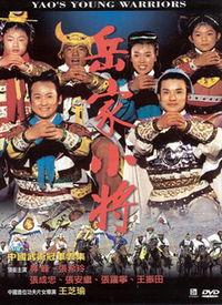 岳家小将电影在线观看,再现民族英雄的英勇传奇