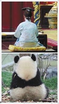 娱乐圈吃瓜群众是谁呀,揭秘那些热衷于八卦的明星粉丝群体